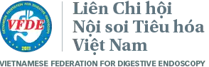 Hội nghi nội soi tiêu hóa toàn quốc lần 4- VGEC 2019